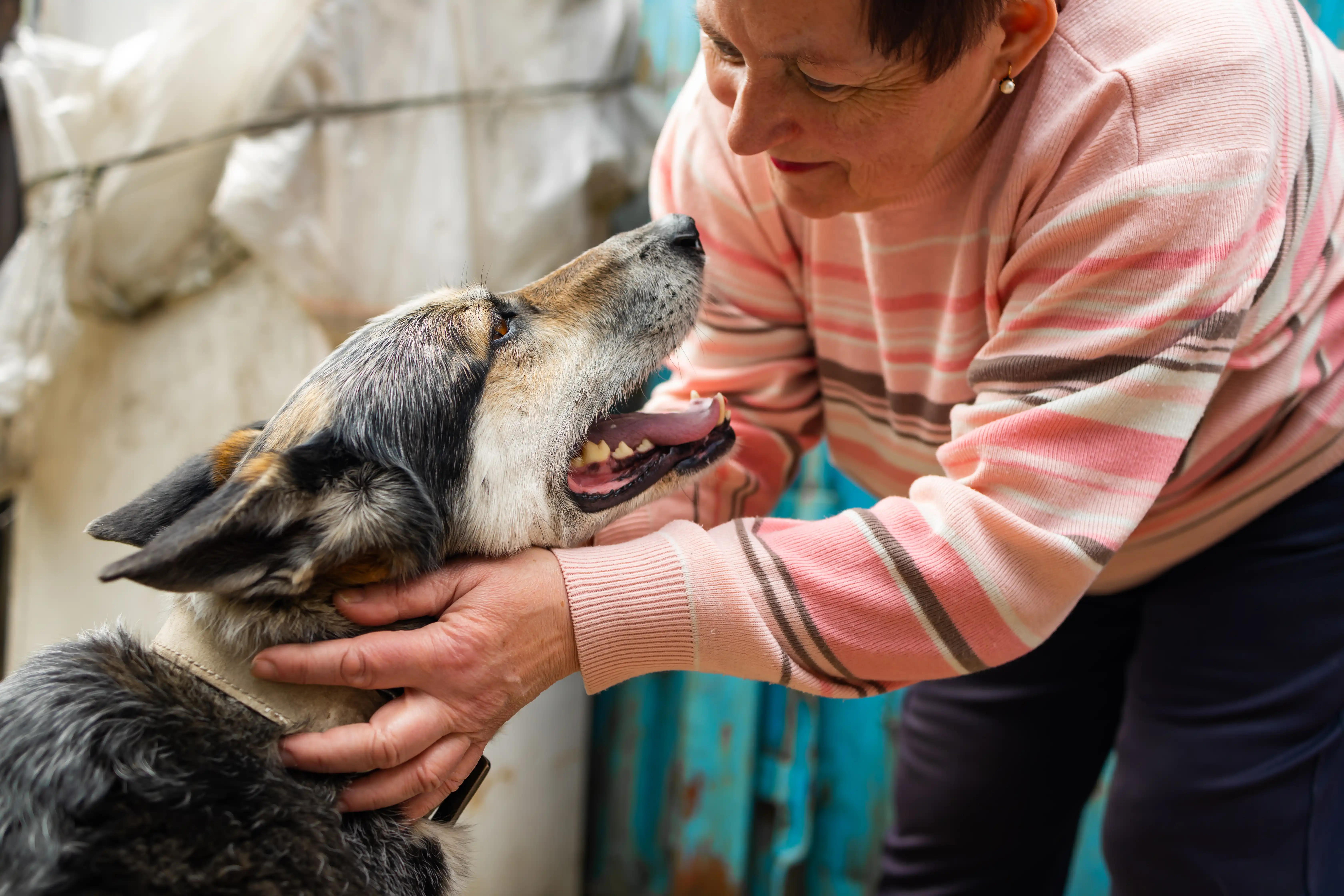A woman holding a rescued dog's face with care