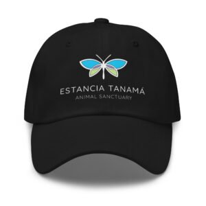 Navy Estancia Tanamá Hat